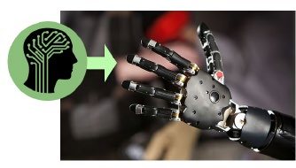 A mind-controlled prosthetic limb.